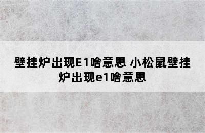 壁挂炉出现E1啥意思 小松鼠壁挂炉出现e1啥意思